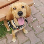 İlayda