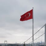 C. Tayfun