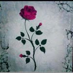 Hatice