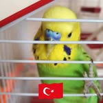 Hüseyin