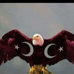 Ersin