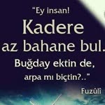 Fırat
