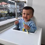 Yiğit