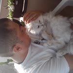 Serdar