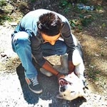 Fethi