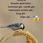 Mualla