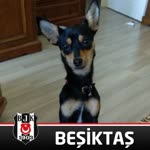 Kenan