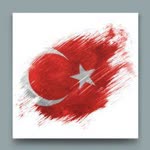 Halil