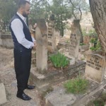 Hafız
