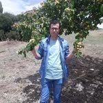 Metin