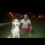 Talha
