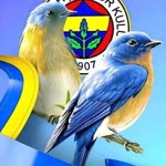 Harun