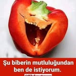 Yılmaz