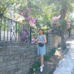 Neşe