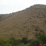 Şimo