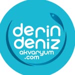 Derin