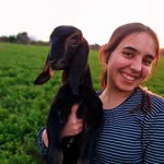 Zümre