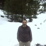 Murat