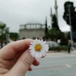 Beyza