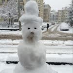 Cengiz