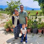 Sibel
