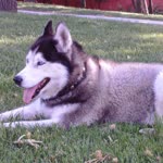 Tuncay