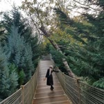Sevda