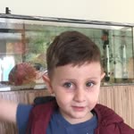 Gürkan