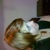 profile-icon