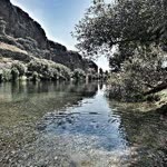 Mahmut