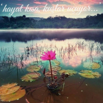 Seher