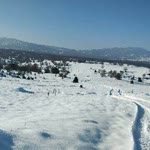 Abdullah