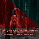 Brk