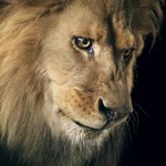 Faruk