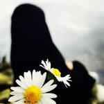Şüheda
