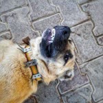 Zeynep