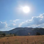 Tarık