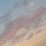 Sıla