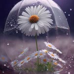 Ebru