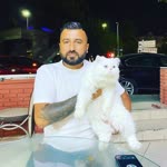 Ali