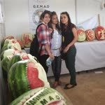 Selvi