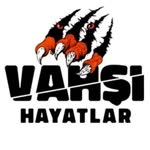 Vahşi