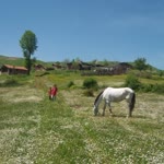Erdi