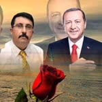 Ali