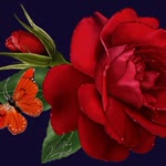 Yasemin