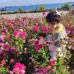 Meryem