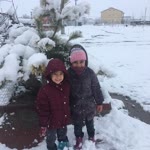 Vedat