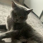 Raif