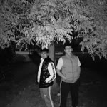Halil