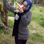 Songül
